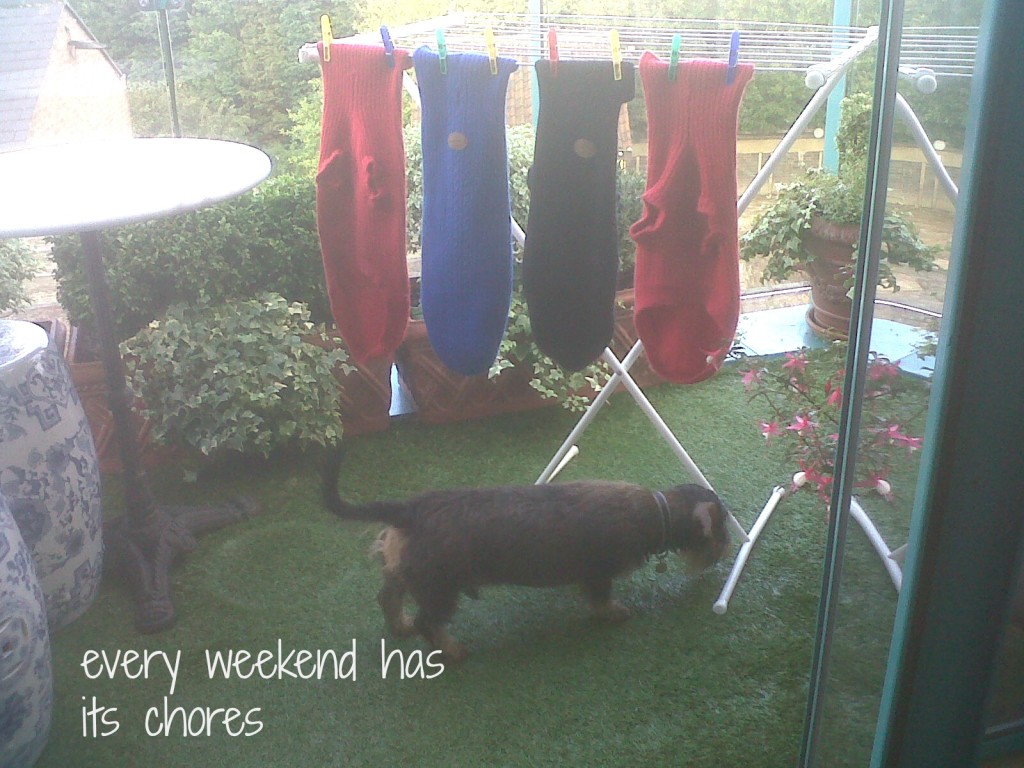 every weekend has its chores
