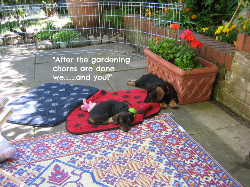 Gardening chores