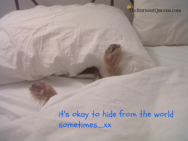 hide from the world