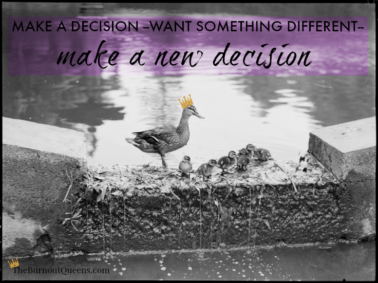 ducklings-make-new-decision