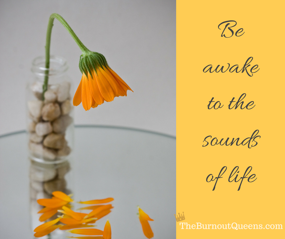 Be-awake-to-the-sounds-of-life
