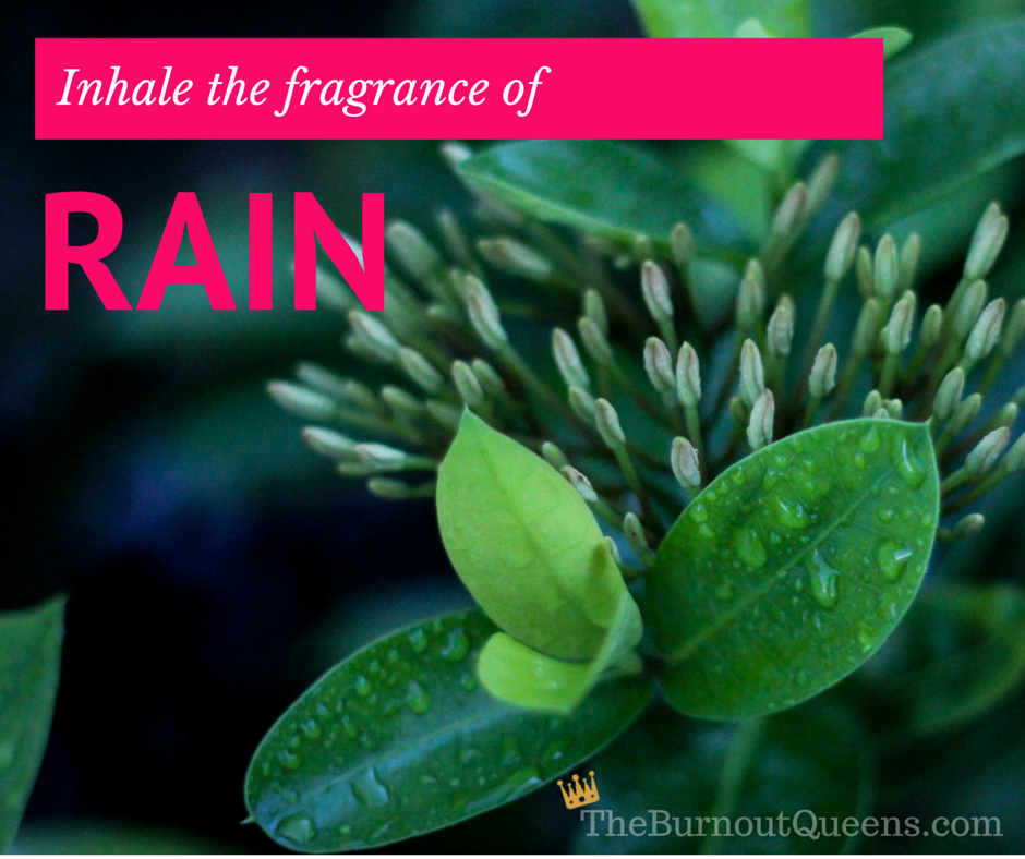 inhale the fragrance of
