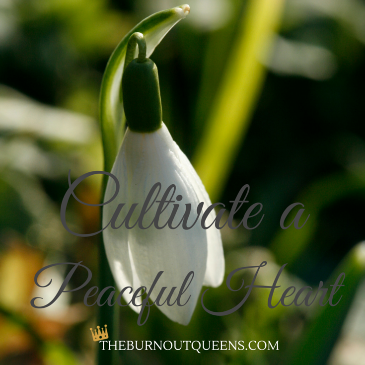 Cultivate a peaceful heart  | The Burnout Queens