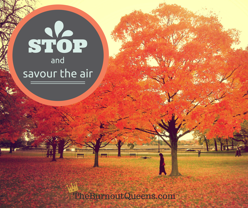 Stop and savour the air
