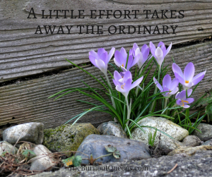 A little effort takes away the ordinary