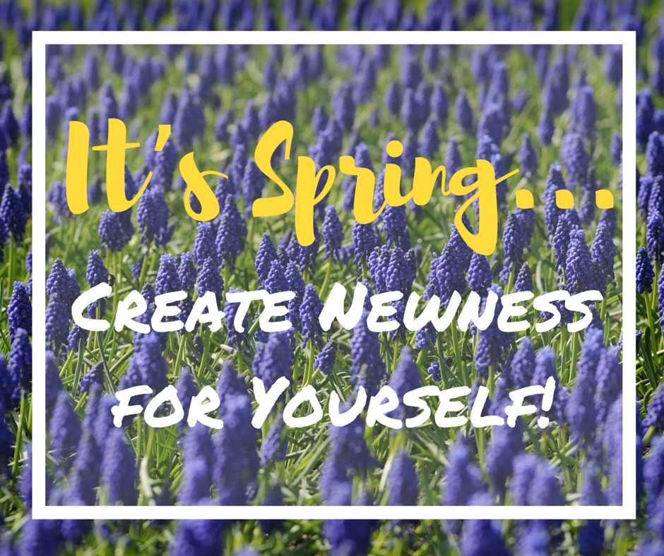 It’s Spring...Create Newness for Yourself!