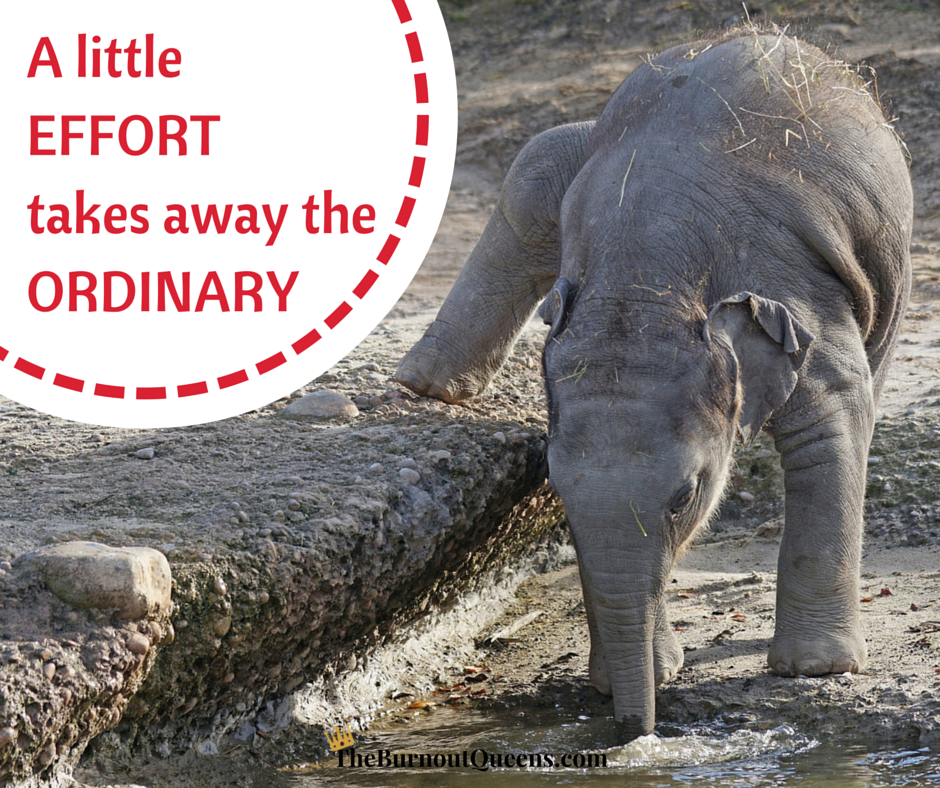 A little effort takes away the ordinary